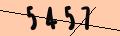 captcha-img